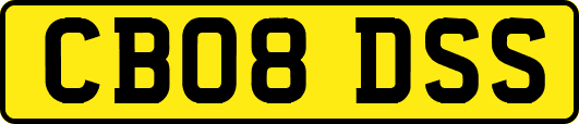CB08DSS
