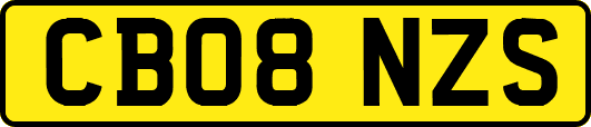CB08NZS