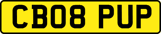 CB08PUP