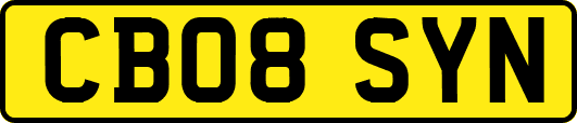 CB08SYN