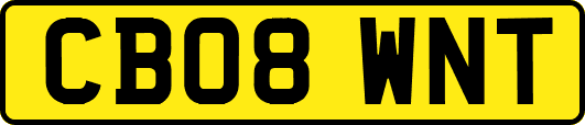 CB08WNT