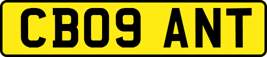 CB09ANT