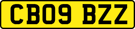 CB09BZZ