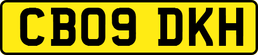 CB09DKH