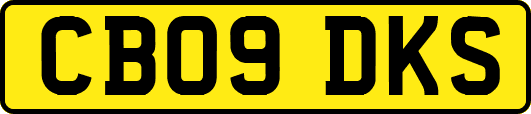 CB09DKS