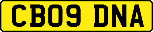CB09DNA