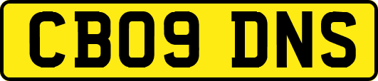 CB09DNS