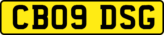 CB09DSG