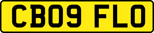 CB09FLO