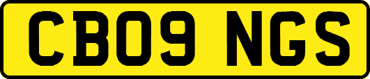 CB09NGS