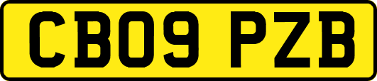 CB09PZB