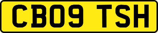 CB09TSH