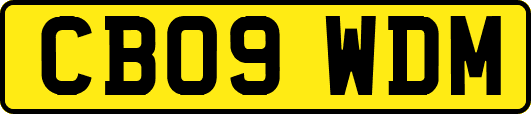 CB09WDM