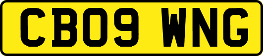 CB09WNG