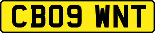 CB09WNT