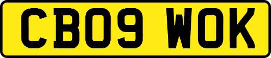 CB09WOK