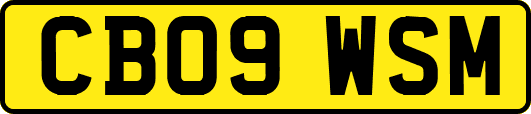 CB09WSM