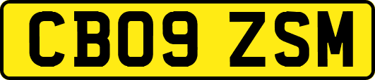 CB09ZSM