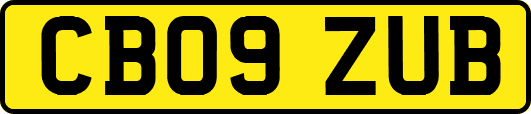 CB09ZUB