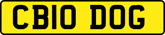 CB10DOG