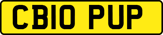CB10PUP