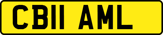 CB11AML