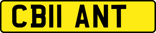 CB11ANT
