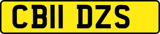 CB11DZS
