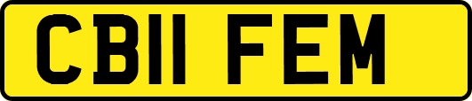 CB11FEM
