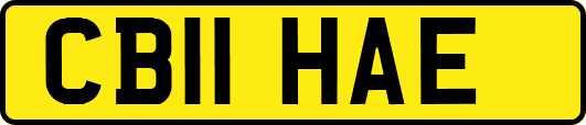 CB11HAE