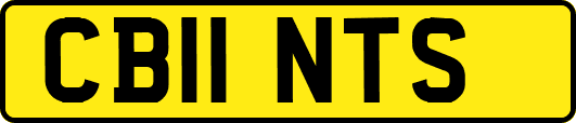CB11NTS