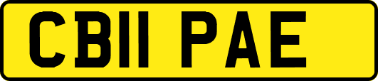 CB11PAE