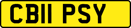 CB11PSY
