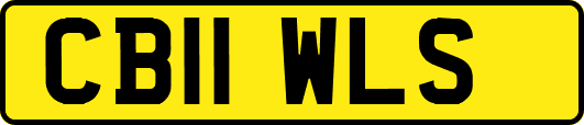 CB11WLS
