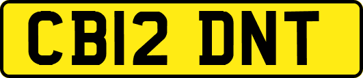 CB12DNT