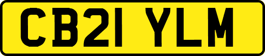 CB21YLM