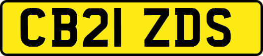 CB21ZDS