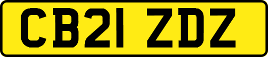 CB21ZDZ