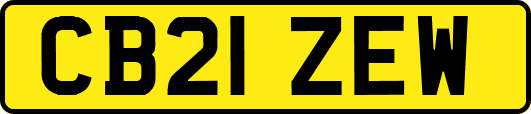 CB21ZEW