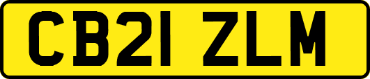 CB21ZLM