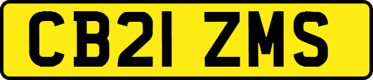 CB21ZMS