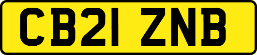 CB21ZNB