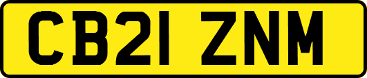 CB21ZNM