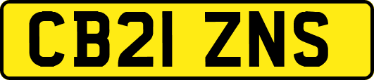 CB21ZNS