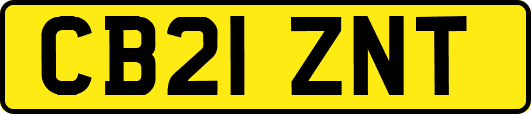 CB21ZNT