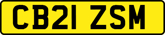 CB21ZSM