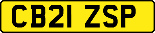 CB21ZSP