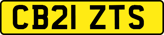 CB21ZTS