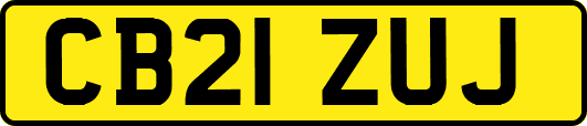 CB21ZUJ
