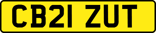 CB21ZUT
